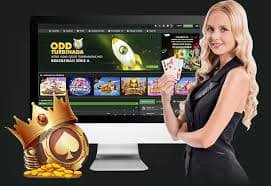 qqq1221